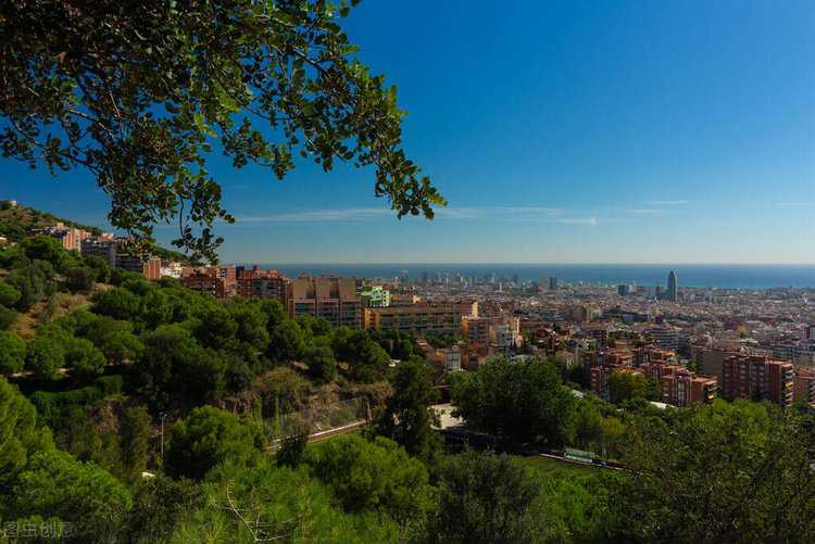 巧家水电移民服务中心：党建引领精神文明建设开创新局面